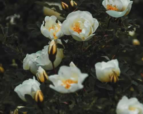 挽回男友的3个关键技巧，让他无法拒绝你 - 顾觅佳偶婚恋网