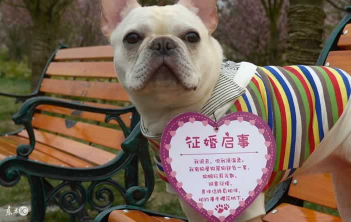 朋友圈也能撩人？挽回爱情的高逼格内容策略(图11)