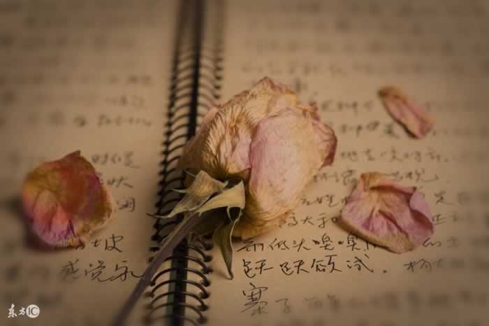 别再傻傻挽留，正确方法让他后悔提分手(图1)