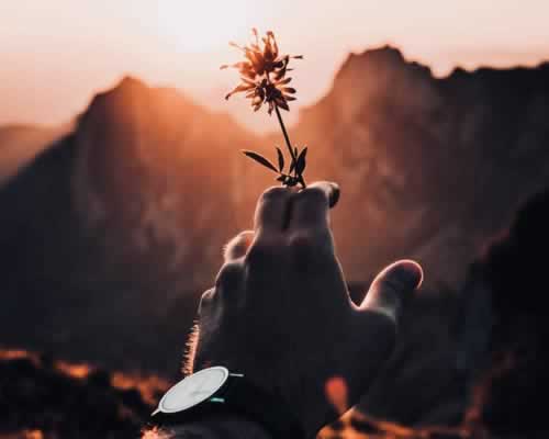 女大学生情感困惑：如何走出对前任的执念与对现任的迷茫 - 顾觅佳偶婚恋网