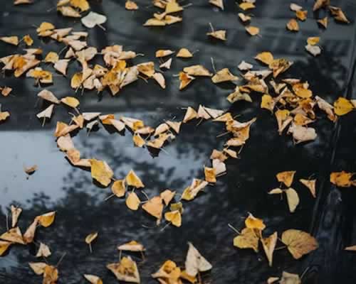 相亲男友并不爱我，这段关系值得继续吗？ - 顾觅佳偶婚恋网