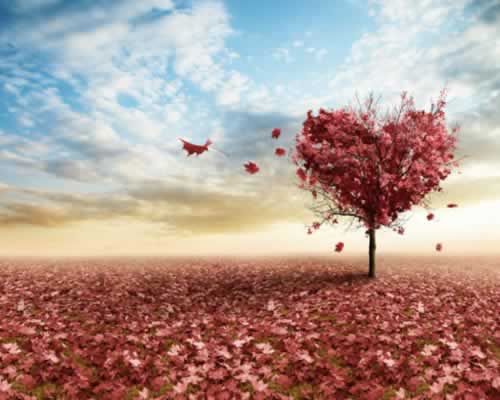 异地恋父母反对怎么办？如何化解信任危机 - 顾觅佳偶婚恋网