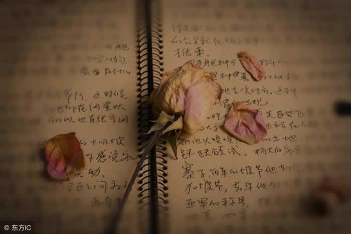 感情中学会拎得清，才能不被伤害(图1)