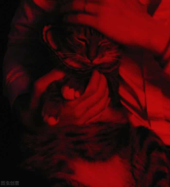 抑郁症的无助与重生希望 陌生人温暖照亮绝望时刻(图2)