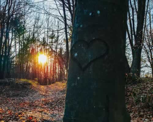 老公要离婚怎么办？挽回婚姻的有效方法与原因分析 - 顾觅佳偶婚恋网