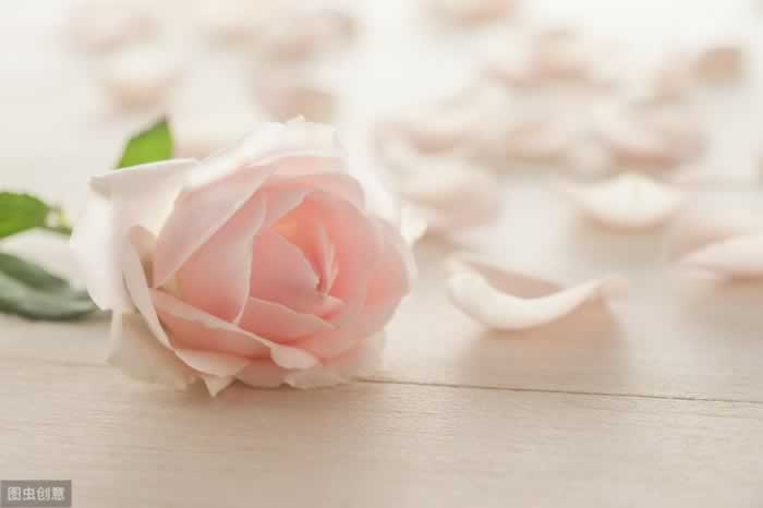 挽回爱情的实用技巧：掌握人性弱点重获爱情(图2)