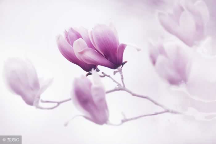 当女人对男人，这三件事不管不问时，男人要小心了(图2)