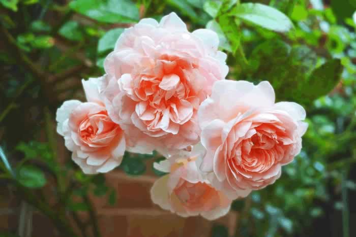 背叛婚姻的男人，会真心回归家庭吗？来听听已婚男人的心里话(图4)