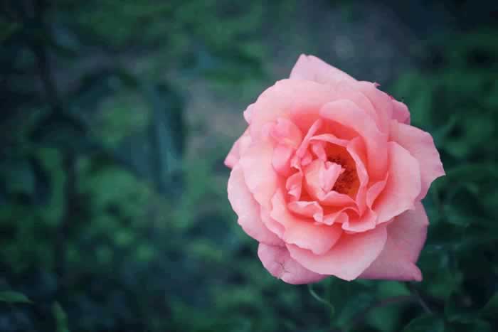 背叛婚姻的男人，会真心回归家庭吗？来听听已婚男人的心里话(图5)