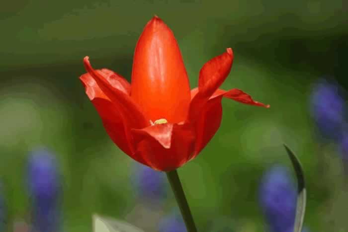 男人冷漠的三种表现｜爱情变淡的信号全攻略(图1)