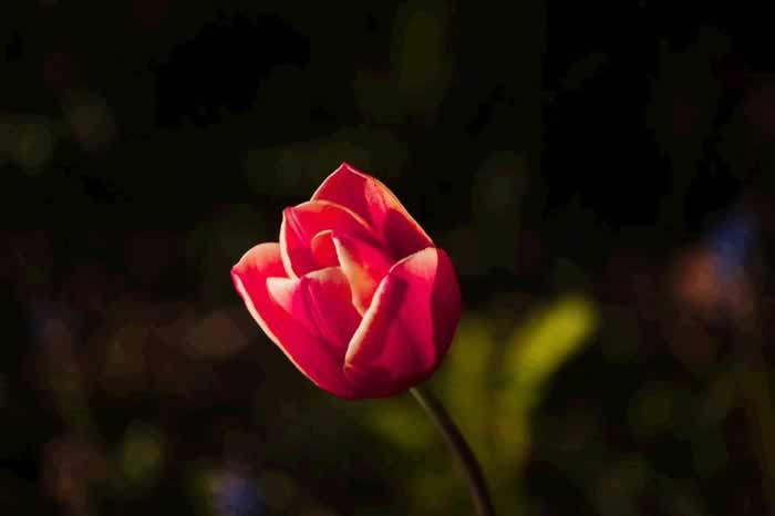 男人冷漠的三种表现｜爱情变淡的信号全攻略(图2)