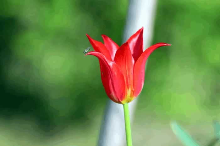 男人冷漠的三种表现｜爱情变淡的信号全攻略(图4)