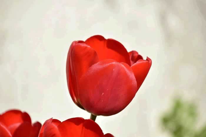 男人冷漠的三种表现｜爱情变淡的信号全攻略(图3)