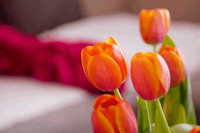 男人冷漠的三种表现｜爱情变淡的信号全攻略(图7)