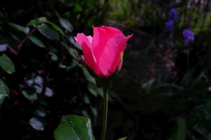 三个表现说明男人不爱你了｜情感挽回实用指南(图1)