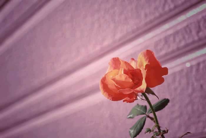 三个表现说明男人不爱你了｜情感挽回实用指南(图3)