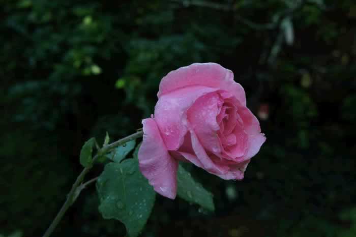 三个表现说明男人不爱你了｜情感挽回实用指南(图7)