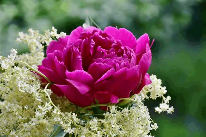 抓住男人心的秘诀｜半糖主义实用指南(图5)