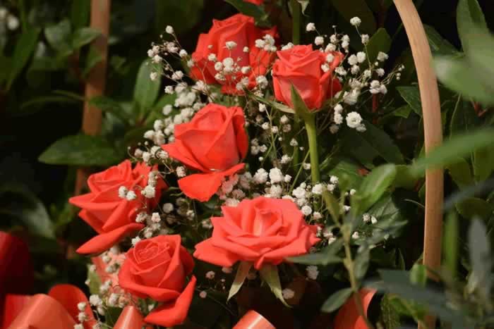 抓住男人心的秘诀｜半糖主义实用指南(图6)