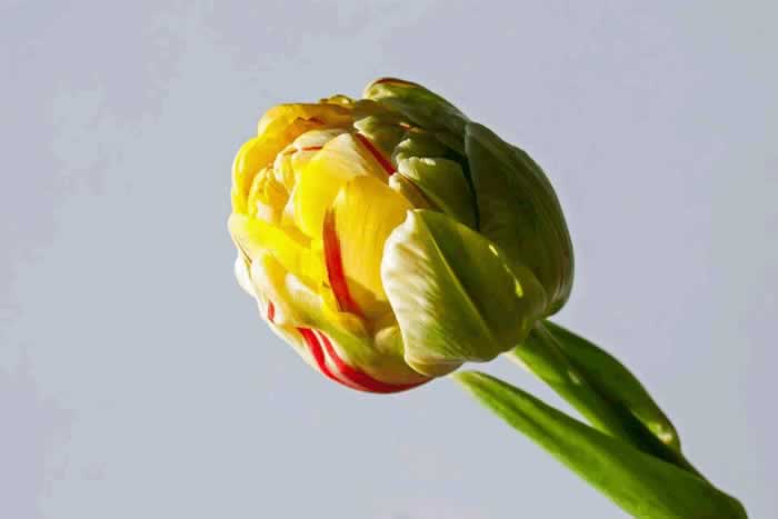 女人思念到极致，是藏不住的｜情感表达全攻略(图4)