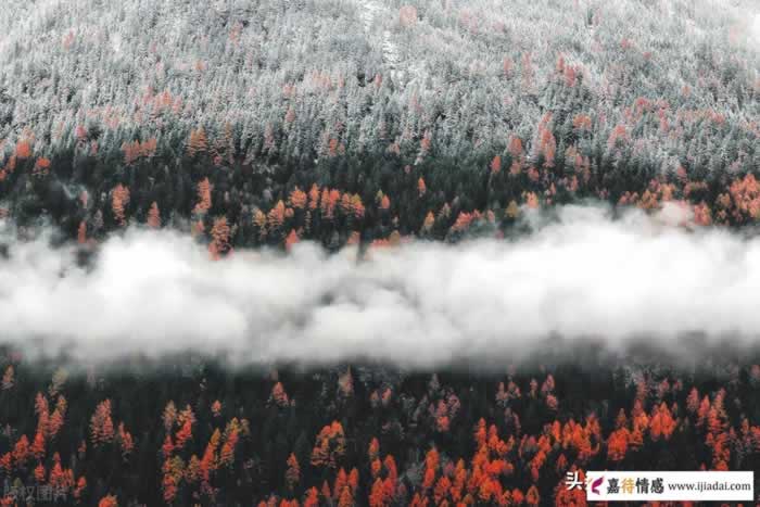 男人突然要离婚？洞悉背后真实目的｜挽回婚姻核心技巧(图1)