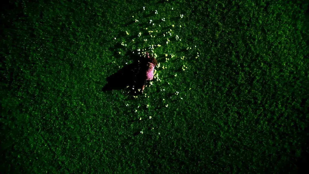 无底线讨好他人，如何毁掉你的婚姻｜情感修复实用指南(图1)