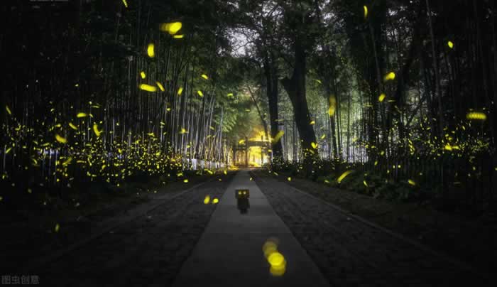 突然不爱了怎么办｜情感挽回与自我重建实用指南(图1)