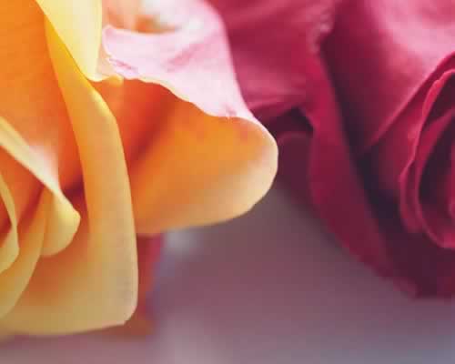 内向女孩脱单指南｜第一次约会高价值技巧全攻略 - 顾觅佳偶婚恋网