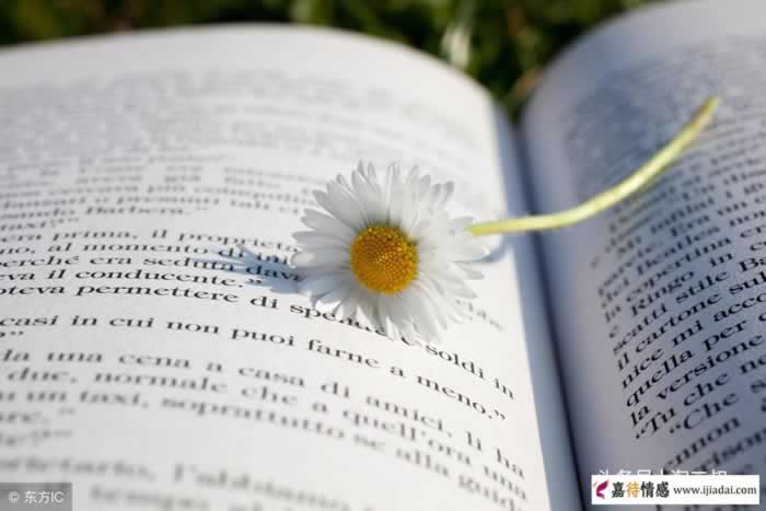 总有一天，我会离开你｜情感关系中的清醒认知(图3)