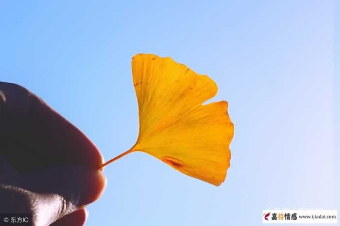 男人出轨最怕的三句话｜情感心理全攻略(图2)