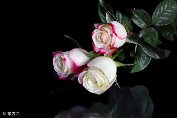 感情里三观合不合，主要看这三点｜情感关系实用指南(图2)