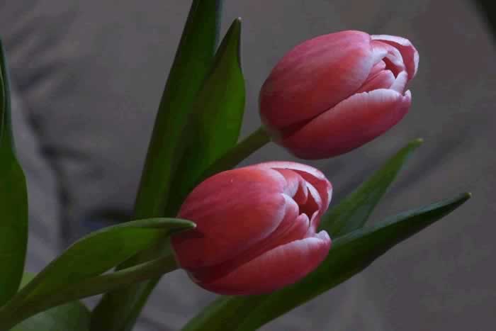 有些女人让男人越来越着迷的5个原因｜情感关系实用指南(图1)