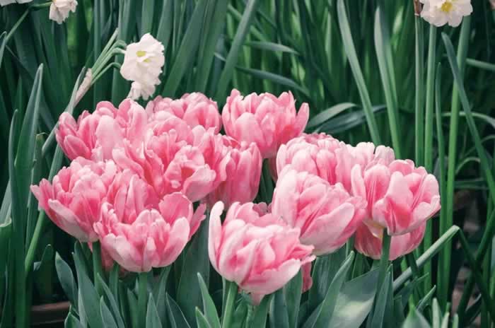 有些女人让男人越来越着迷的5个原因｜情感关系实用指南(图3)