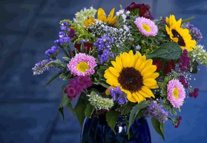 女人离婚的真正原因｜只因心寒不再期待(图1)