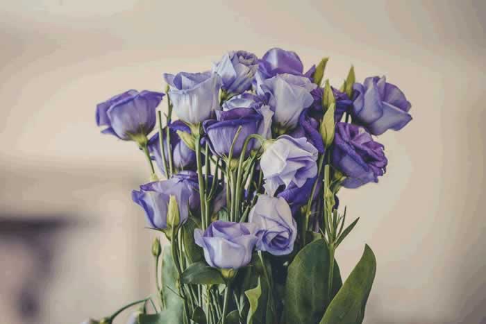 女人离婚的真正原因｜只因心寒不再期待(图3)