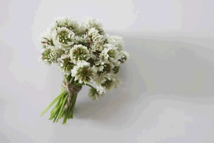 女人离婚的真正原因｜只因心寒不再期待(图5)