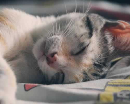 安全感是幸福婚姻的关键｜情感经营实用指南 - 顾觅佳偶婚恋网