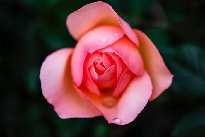 如何识别并远离低质量的爱｜情感成长实用指南(图3)