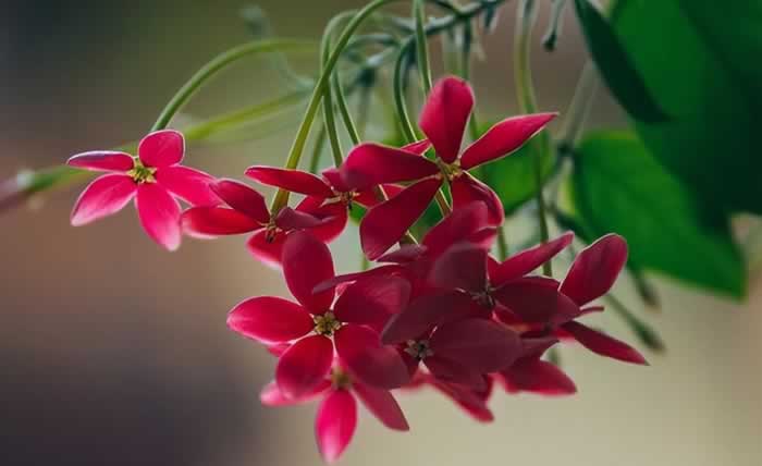 好像不够爱却又舍不得分开｜情感困惑解决指南(图2)