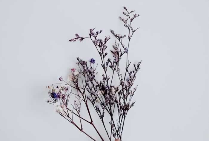 好像不够爱却又舍不得分开｜情感困惑解决指南(图3)