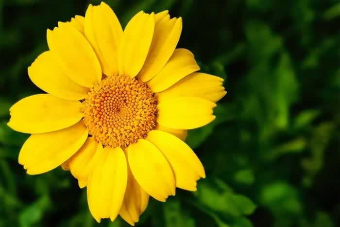 好像不够爱却又舍不得分开｜情感困惑解决指南(图6)