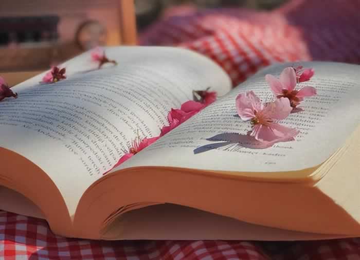 好像不够爱却又舍不得分开｜情感困惑解决指南(图4)