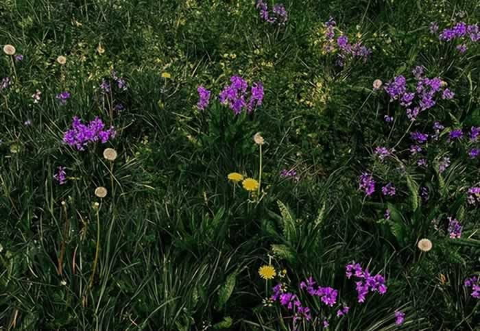 好像不够爱却又舍不得分开｜情感困惑解决指南(图5)