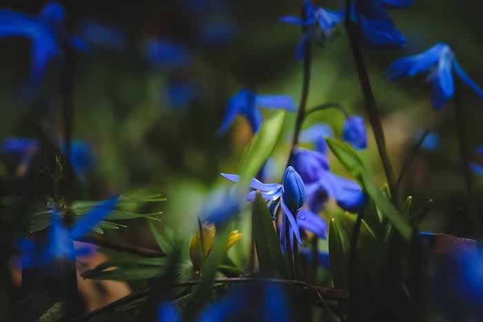 人到中年如何走出婚姻危机｜活明白的智慧(图1)