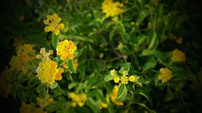 背叛伤痛如何转化？｜情感疗愈实用指南(图2)