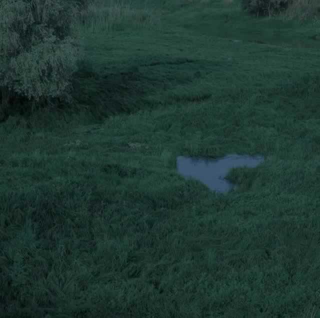 和女朋友冷战怎么办|哄女友实用指南(图1) 和女朋友冷战怎么办|哄女友实用指南(图1)