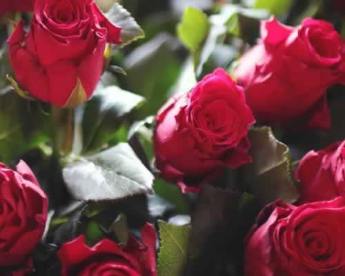 月入五千男友打赏女主播两万｜情感挽回全攻略 - 顾觅佳偶婚恋网