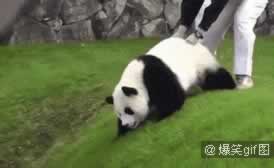 分手后前男友说不知喜欢啥女生？挽回核心技巧全攻略(图5)