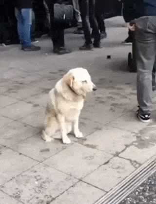 分手后前男友说不知喜欢啥女生？挽回核心技巧全攻略(图4)