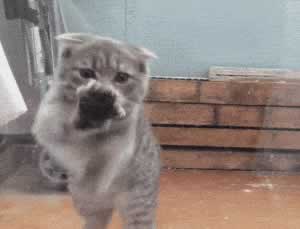 分手后前男友说不知喜欢啥女生？挽回核心技巧全攻略(图3)